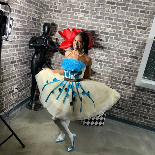 Alice in Wonderland Inspired Party Dress (Custom Made)