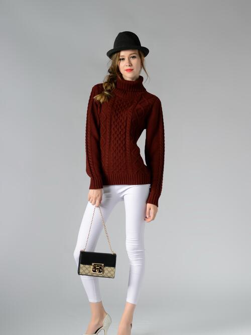 Cable-Knit Turtleneck Long Sleeve Sweater