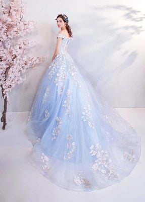 Ice Blue Elegantly Embroidered Court Dress